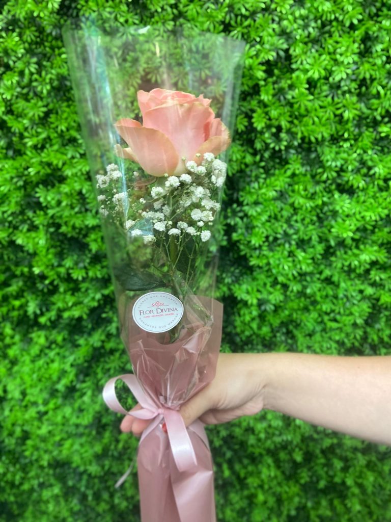 Rosa embalada cone transparente